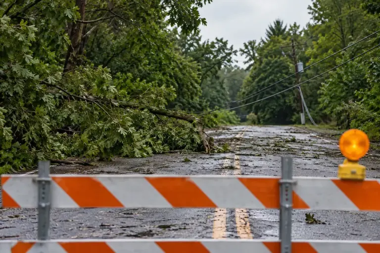 Storm-damaged branches near a distant utility pole seen from behind a closed road barrier.